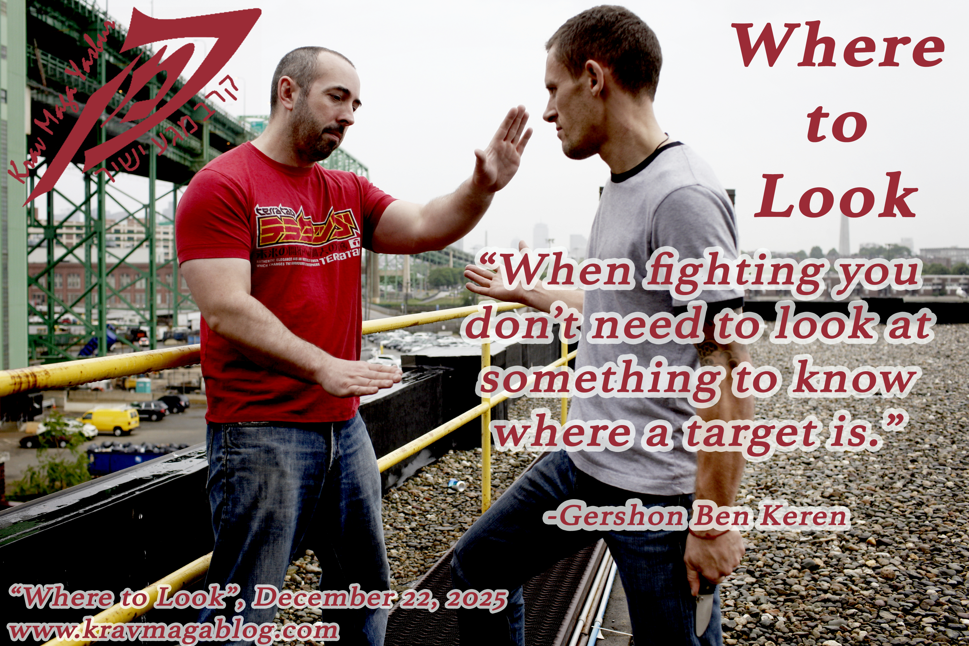 Where To Look in a Fight