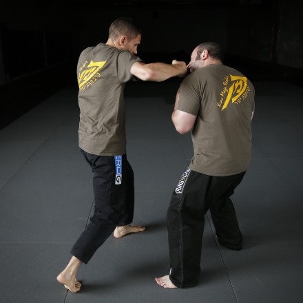 Krav Maga Striking & Combatives