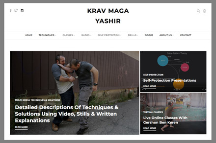 Krav Maga Boston Online Training